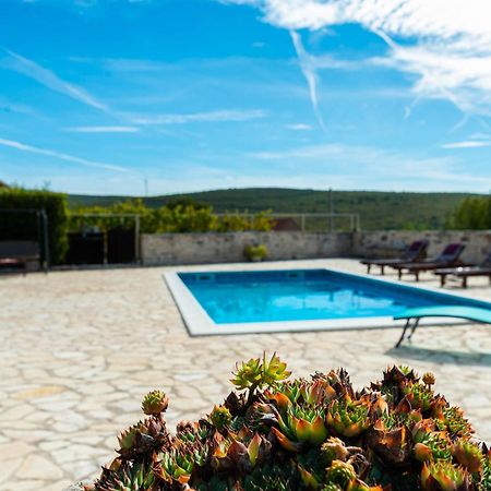 Dalmatian Country House Irena Bruska Bagian luar foto