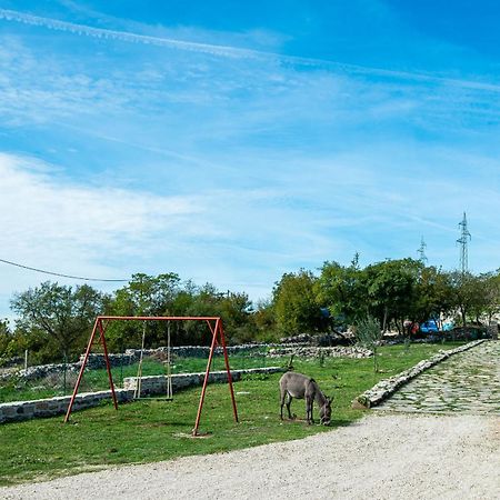 Dalmatian Country House Irena Bruska Bagian luar foto