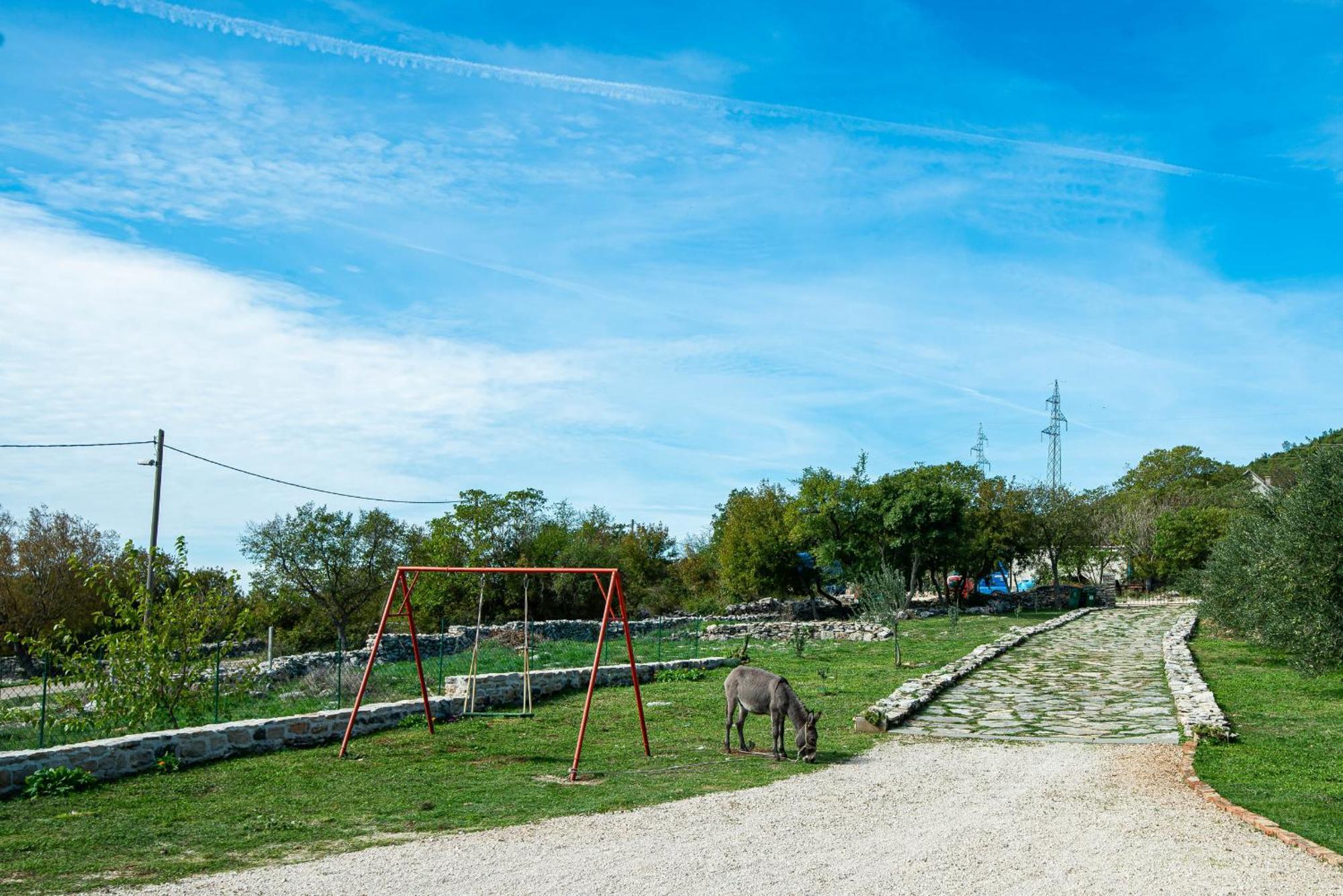 Dalmatian Country House Irena Bruska Bagian luar foto