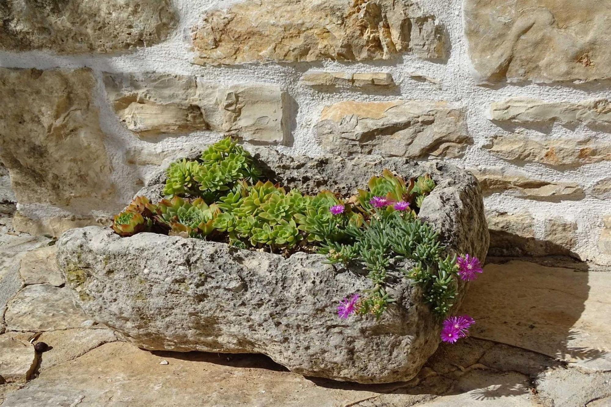 Dalmatian Country House Irena Bruska Bagian luar foto
