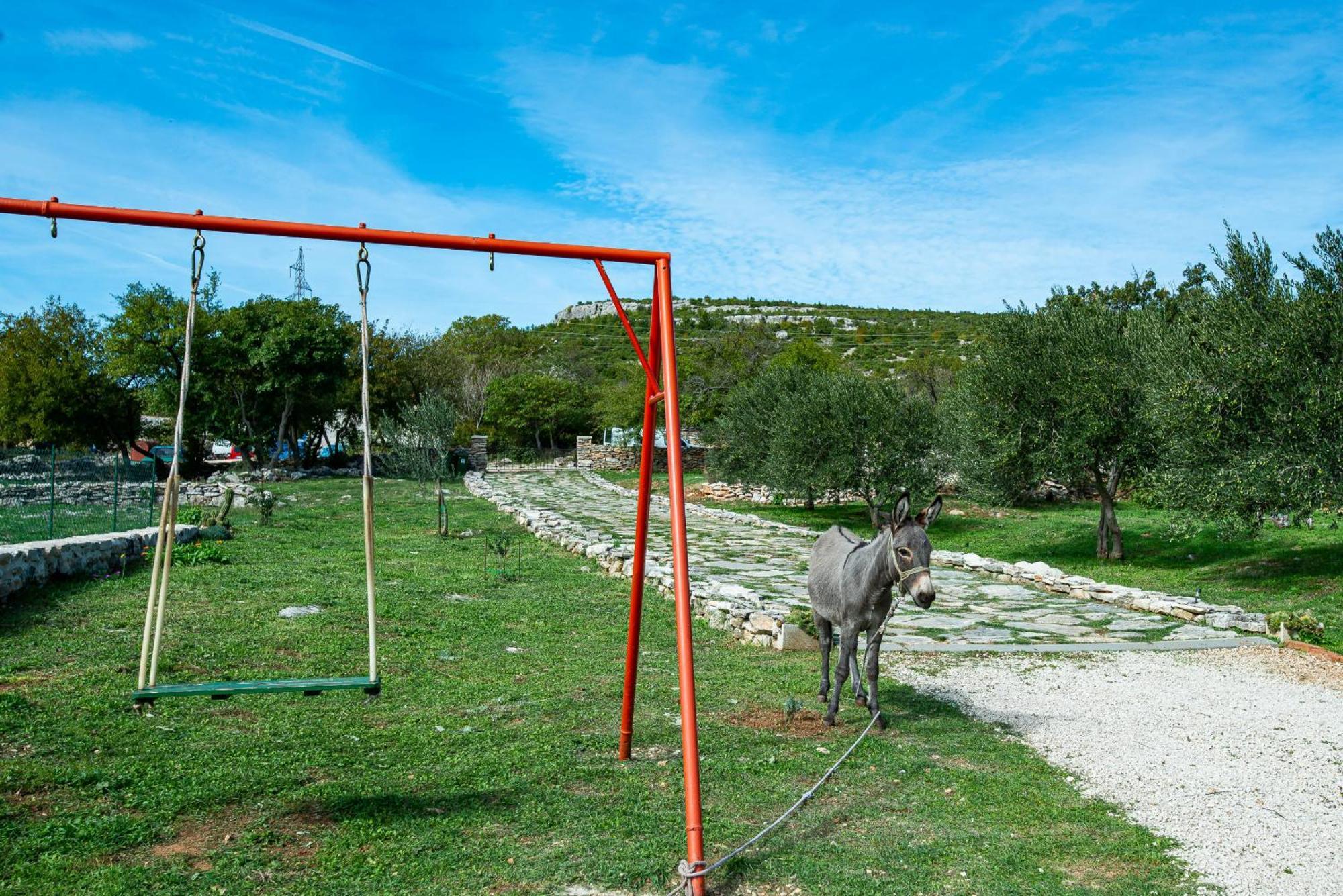 Dalmatian Country House Irena Bruska Bagian luar foto