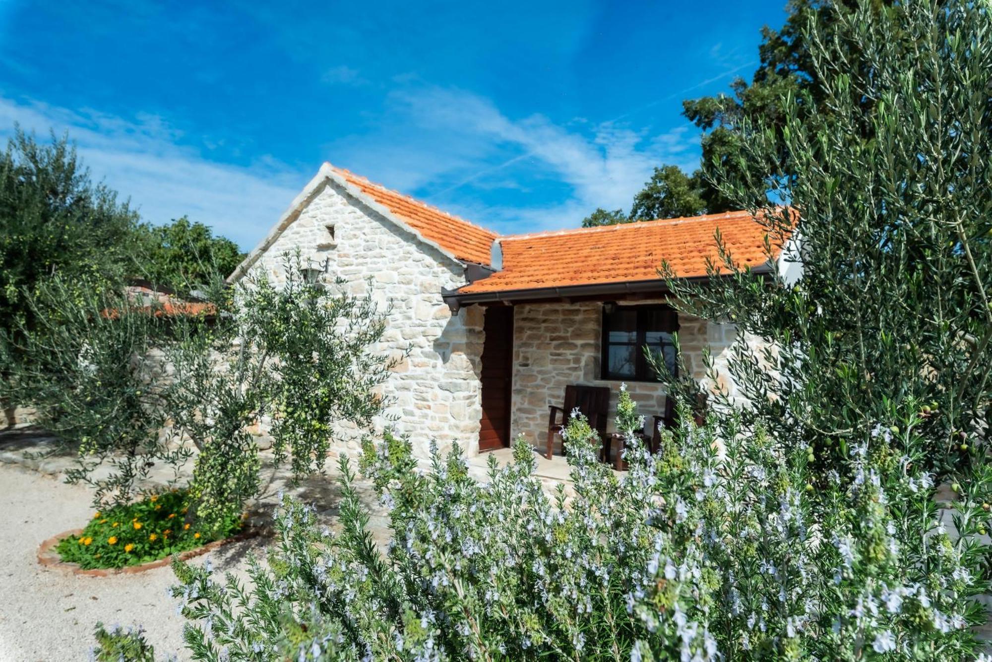 Dalmatian Country House Irena Bruska Bagian luar foto