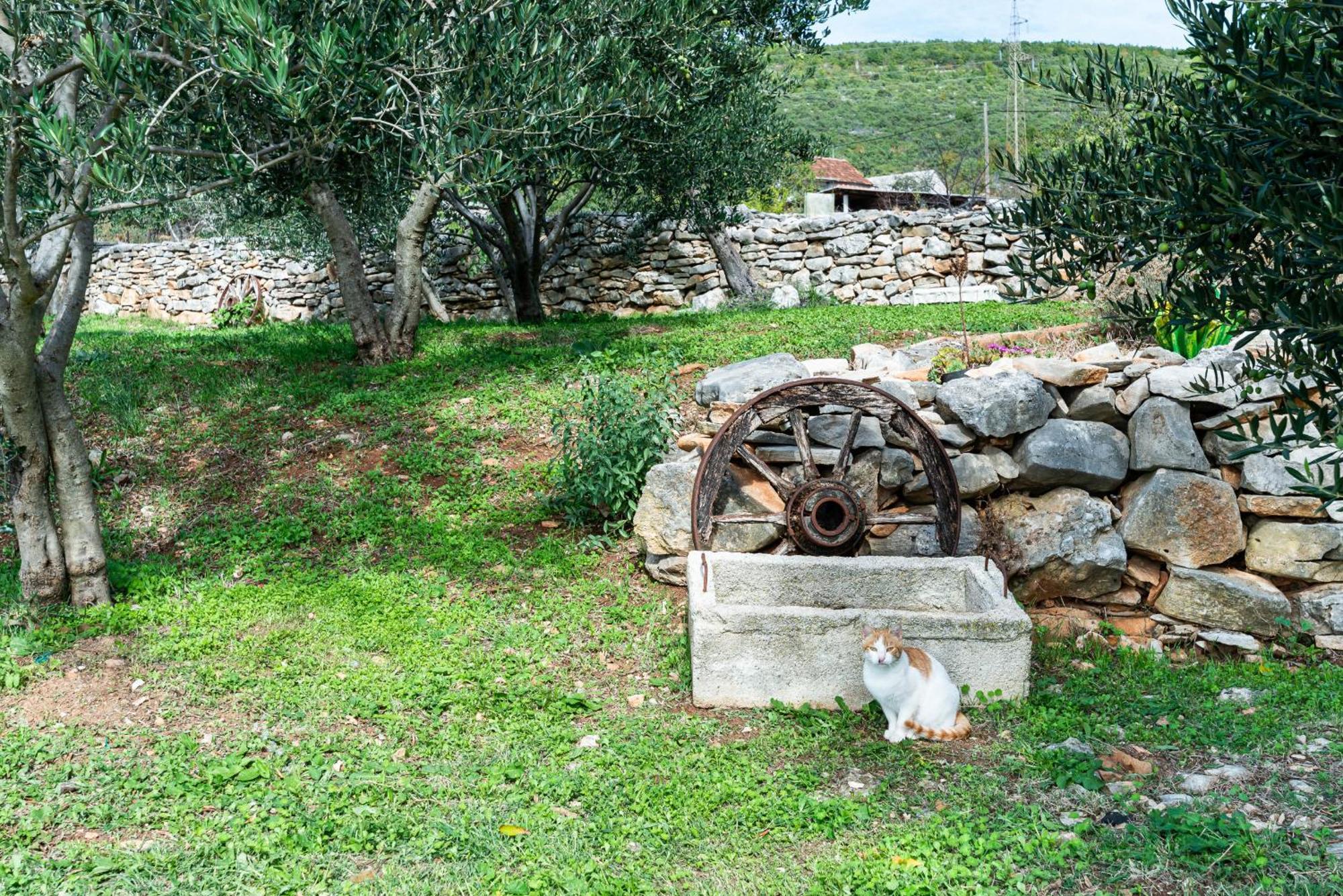 Dalmatian Country House Irena Bruska Bagian luar foto